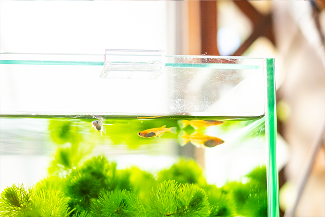 Free HTML5 Bootstrap Template by FreeHTML5.co