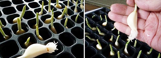 Free HTML5 Bootstrap Template by FreeHTML5.co